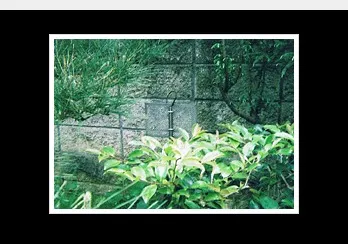 外部アンテナ・アダプターを室内ヘルスコート塗布面に接続