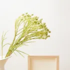 プライバシーポリシー